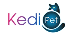 Kedi Pet