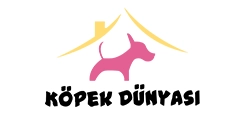 Köpek Dünyası